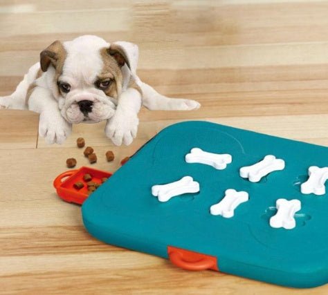Pet Casino Treasure Hunt Puzzle Food Spill Toy | Luxury Home Accessories | Heulog Glow