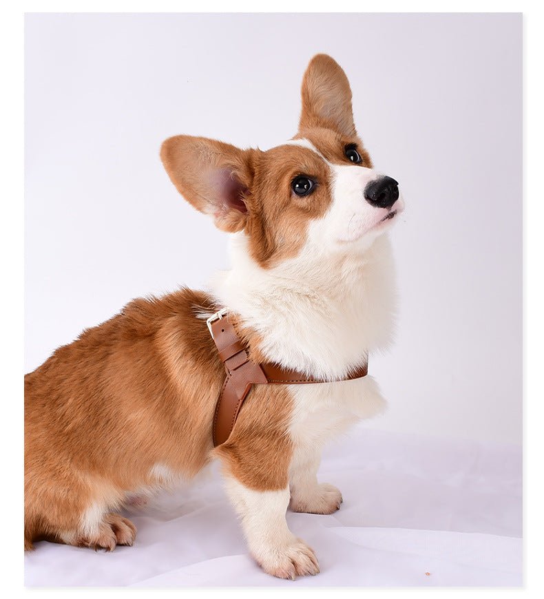Pet Cat And Dog Chest Strap To Prevent Breakaway Out Of The Leash | Luxury Home Accessories | Heulog Glow