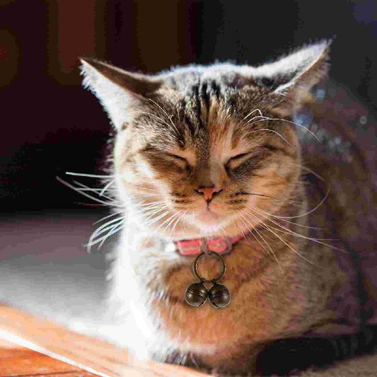 Pet Cat And Dog Collar Bell | Luxury Home Accessories | Heulog Glow