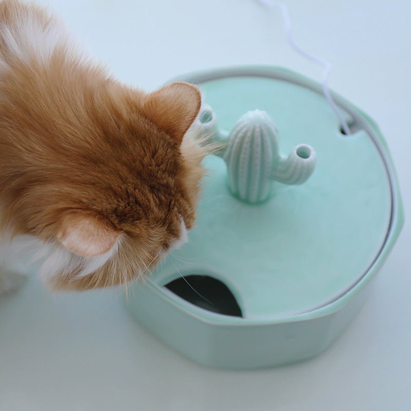Pet Cat Ceramic Automatic Circulating Electric Active Water Dispenser | Luxury Home Accessories | Heulog Glow