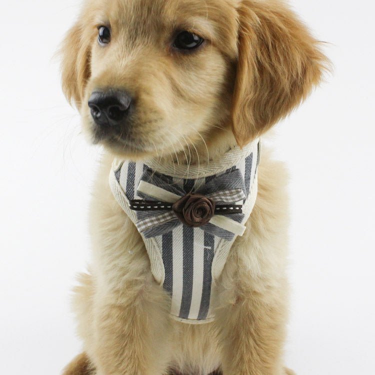 Pet chest harness mesh breathable vest | Luxury Home Accessories | Heulog Glow