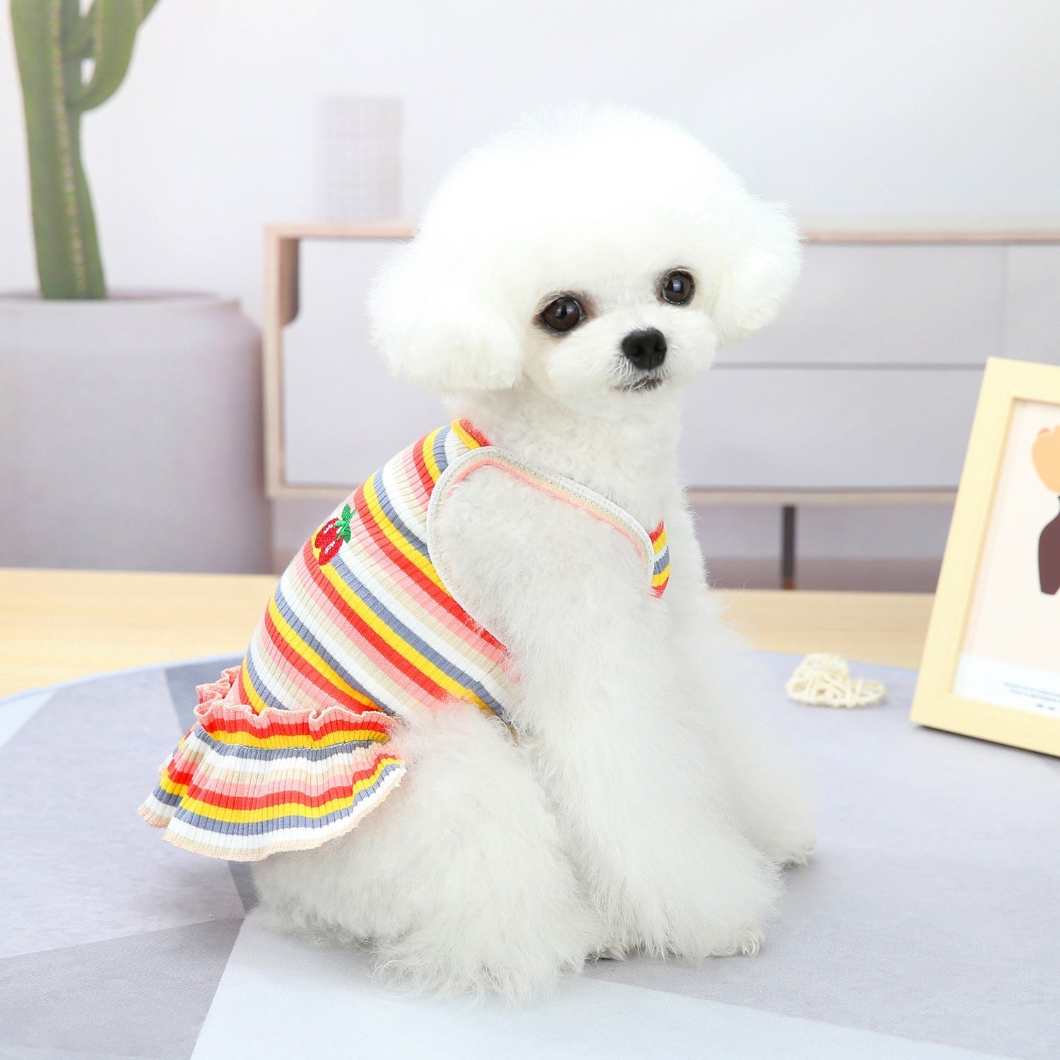 Pet Clothes Dog Color Stripes Skirt Vest | Luxury Home Accessories | Heulog Glow