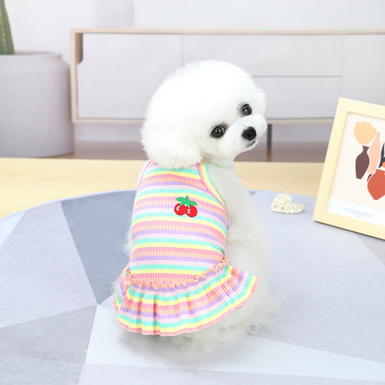 Pet Clothes Dog Color Stripes Skirt Vest | Luxury Home Accessories | Heulog Glow