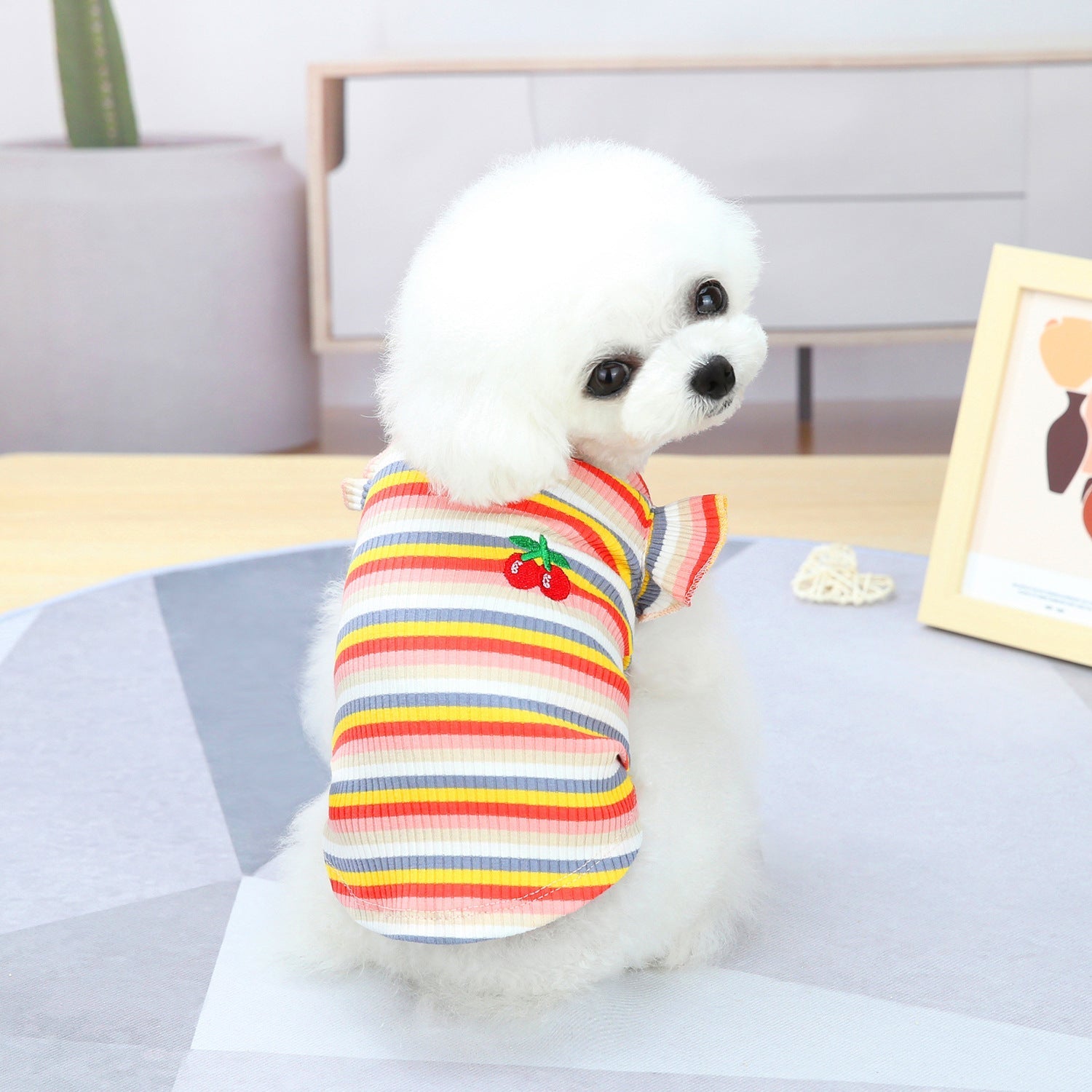 Pet Clothes Dog Color Stripes Skirt Vest | Luxury Home Accessories | Heulog Glow