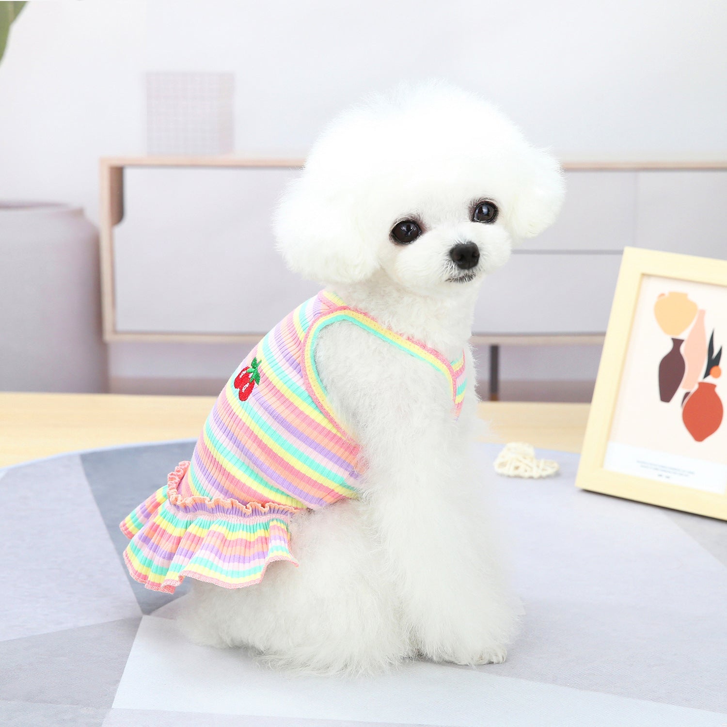 Pet Clothes Dog Color Stripes Skirt Vest | Luxury Home Accessories | Heulog Glow