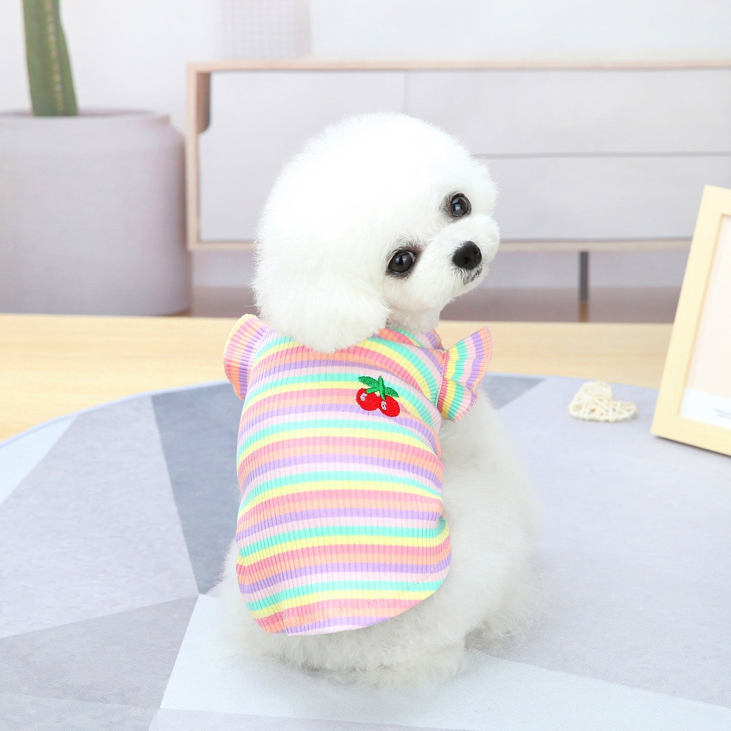 Pet Clothes Dog Color Stripes Skirt Vest | Luxury Home Accessories | Heulog Glow
