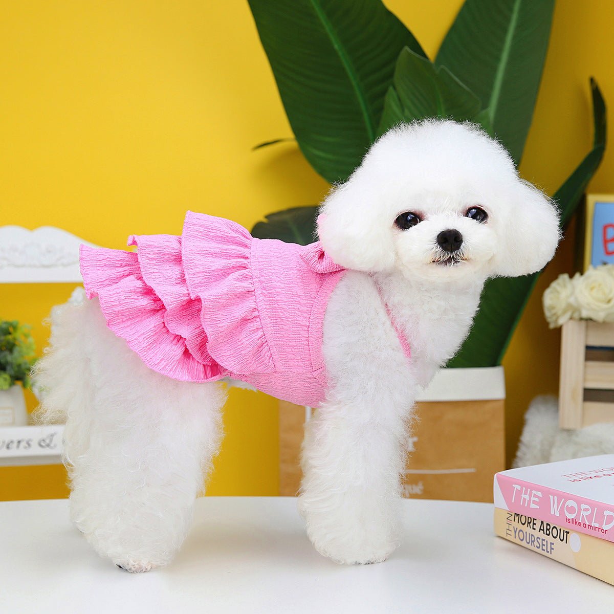 Pet Clothes Dog Skirt Candy Color Layers | Luxury Home Accessories | Heulog Glow
