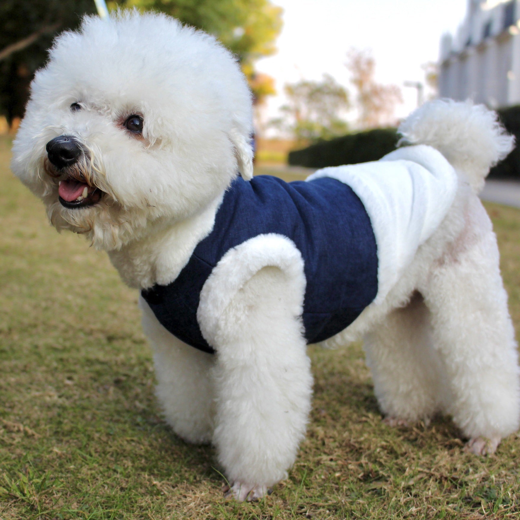 Pet Clothes Plush Warm Dog Vest Vest Style Dog Clothes Fur Collar Pet | Luxury Home Accessories | Heulog Glow
