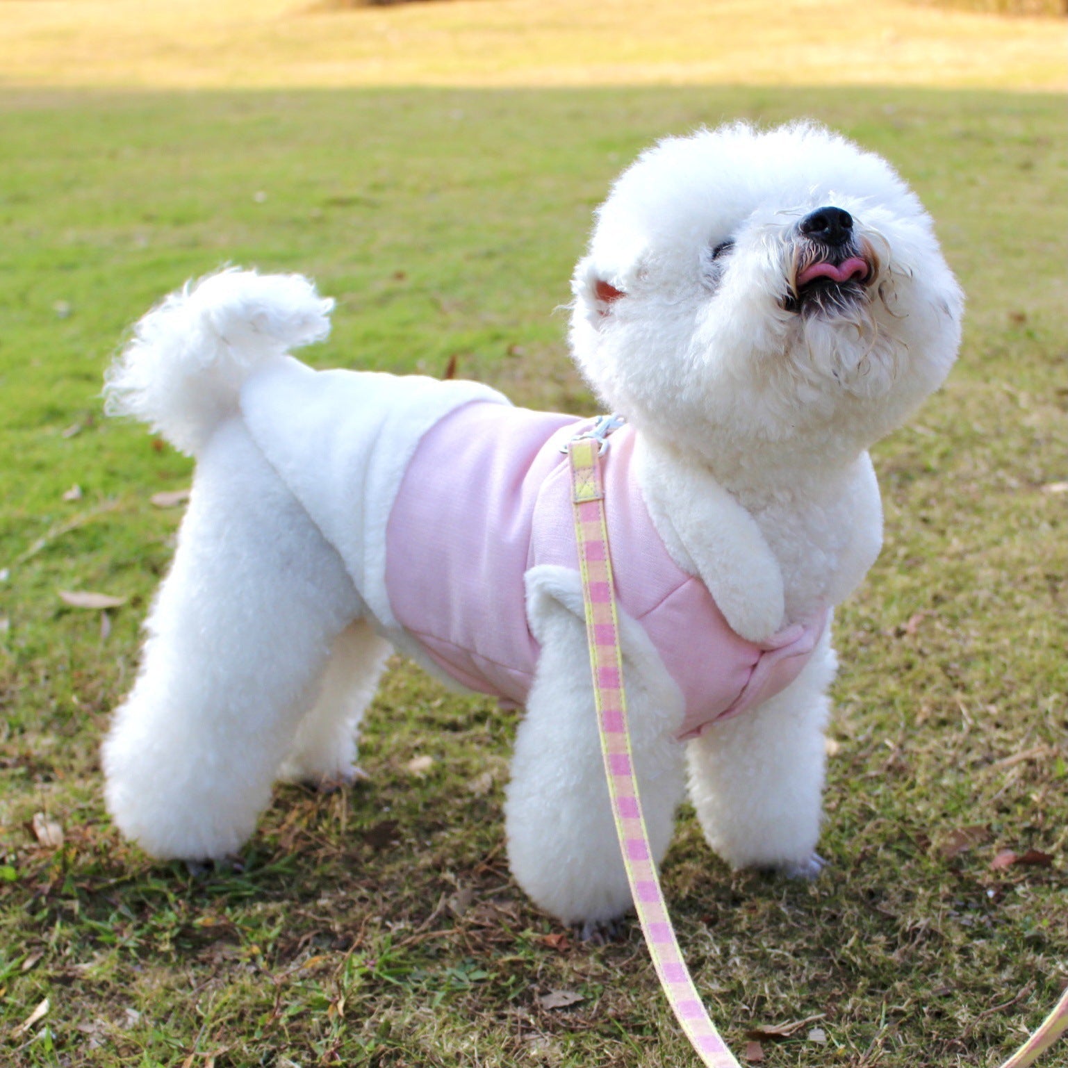 Pet Clothes Plush Warm Dog Vest Vest Style Dog Clothes Fur Collar Pet | Luxury Home Accessories | Heulog Glow
