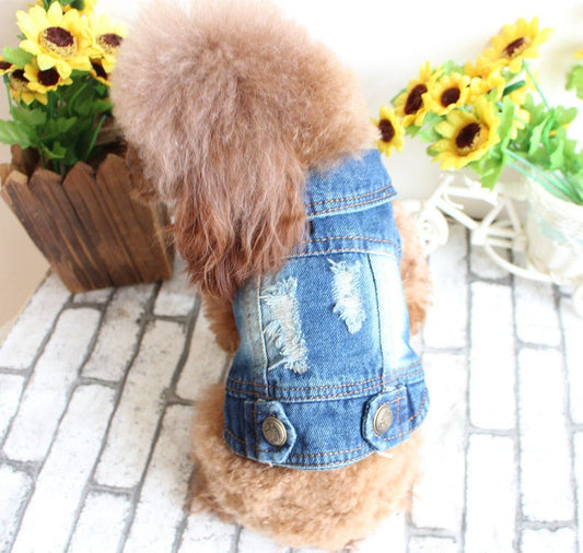 Pet Clothes Ripped Denim Vest Spring And Summer Clothes | Luxury Home Accessories | Heulog Glow