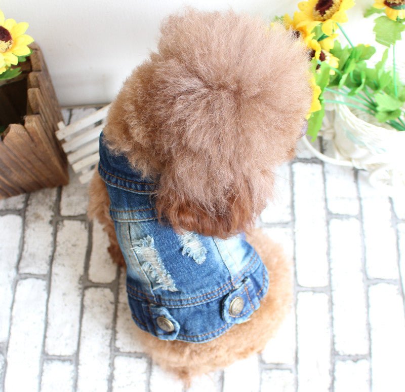 Pet Clothes Ripped Denim Vest Spring And Summer Clothes | Luxury Home Accessories | Heulog Glow