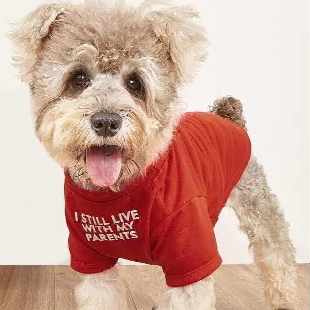 Pet Clothes Round Neck T-shirt | Luxury Home Accessories | Heulog Glow