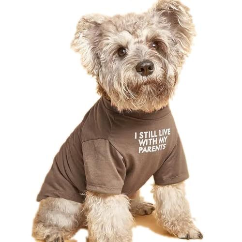 Pet Clothes Round Neck T-shirt | Luxury Home Accessories | Heulog Glow