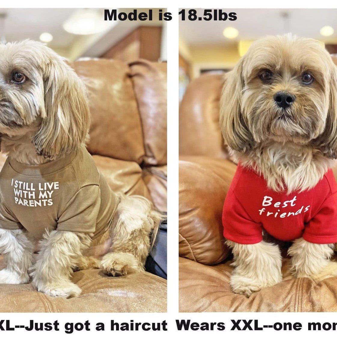 Pet Clothes Round Neck T-shirt | Luxury Home Accessories | Heulog Glow