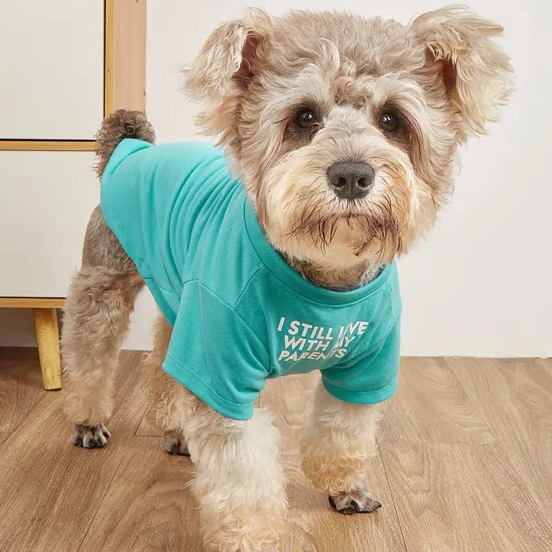 Pet Clothes Round Neck T-shirt | Luxury Home Accessories | Heulog Glow