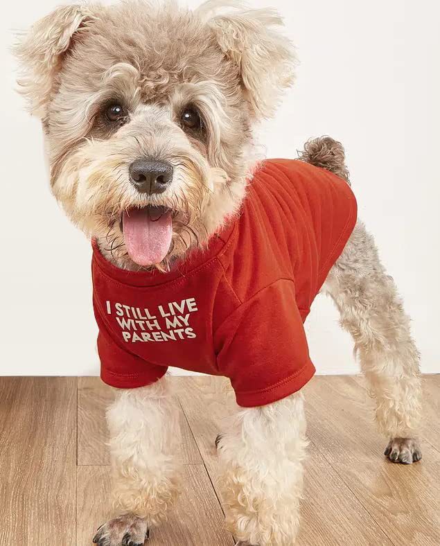 Pet Clothes Round Neck T-shirt | Luxury Home Accessories | Heulog Glow
