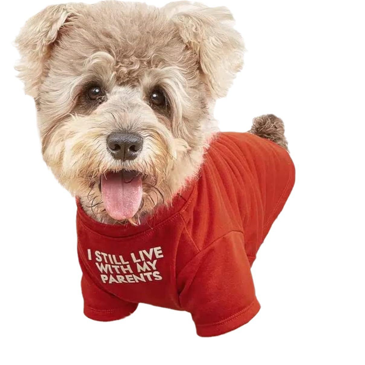 Pet Clothes Round Neck T-shirt | Luxury Home Accessories | Heulog Glow
