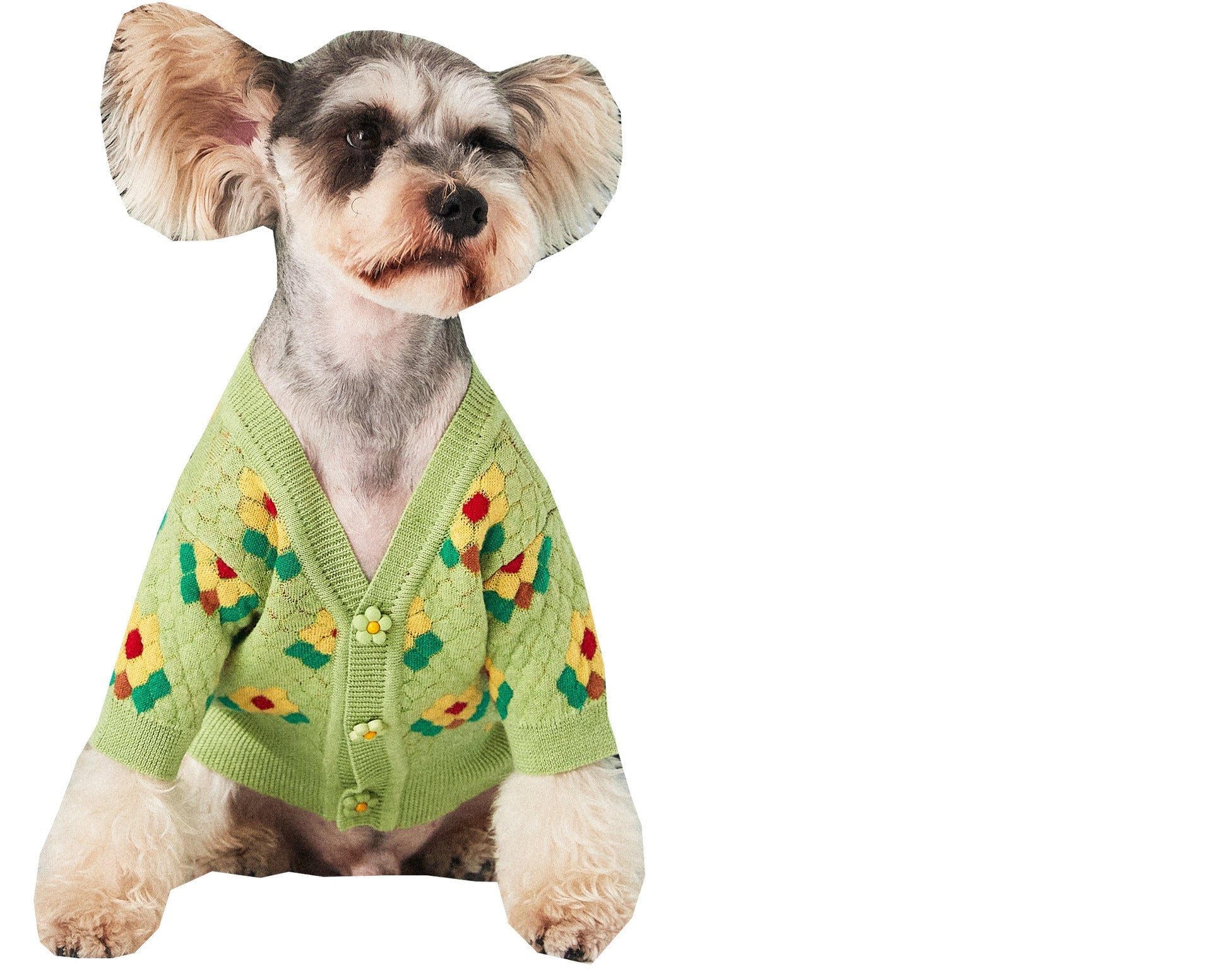 Pet Clothes Small Flower Dog Sweater Cardigan | Luxury Home Accessories | Heulog Glow