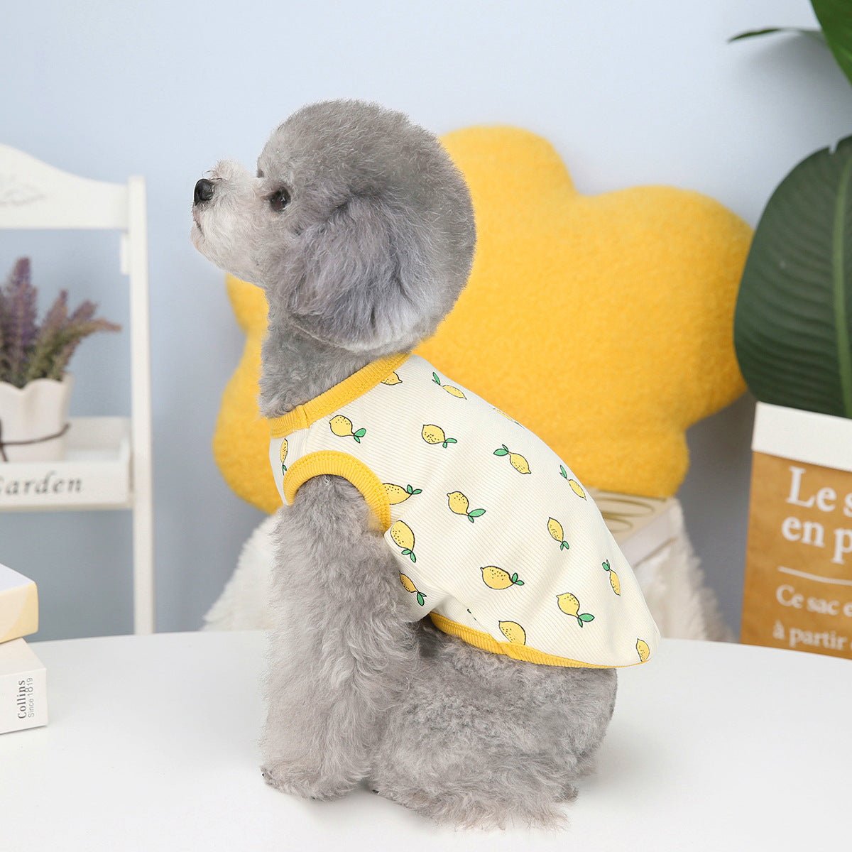 Pet Clothes Spring And Summer Puppy Lemon Vest | Luxury Home Accessories | Heulog Glow