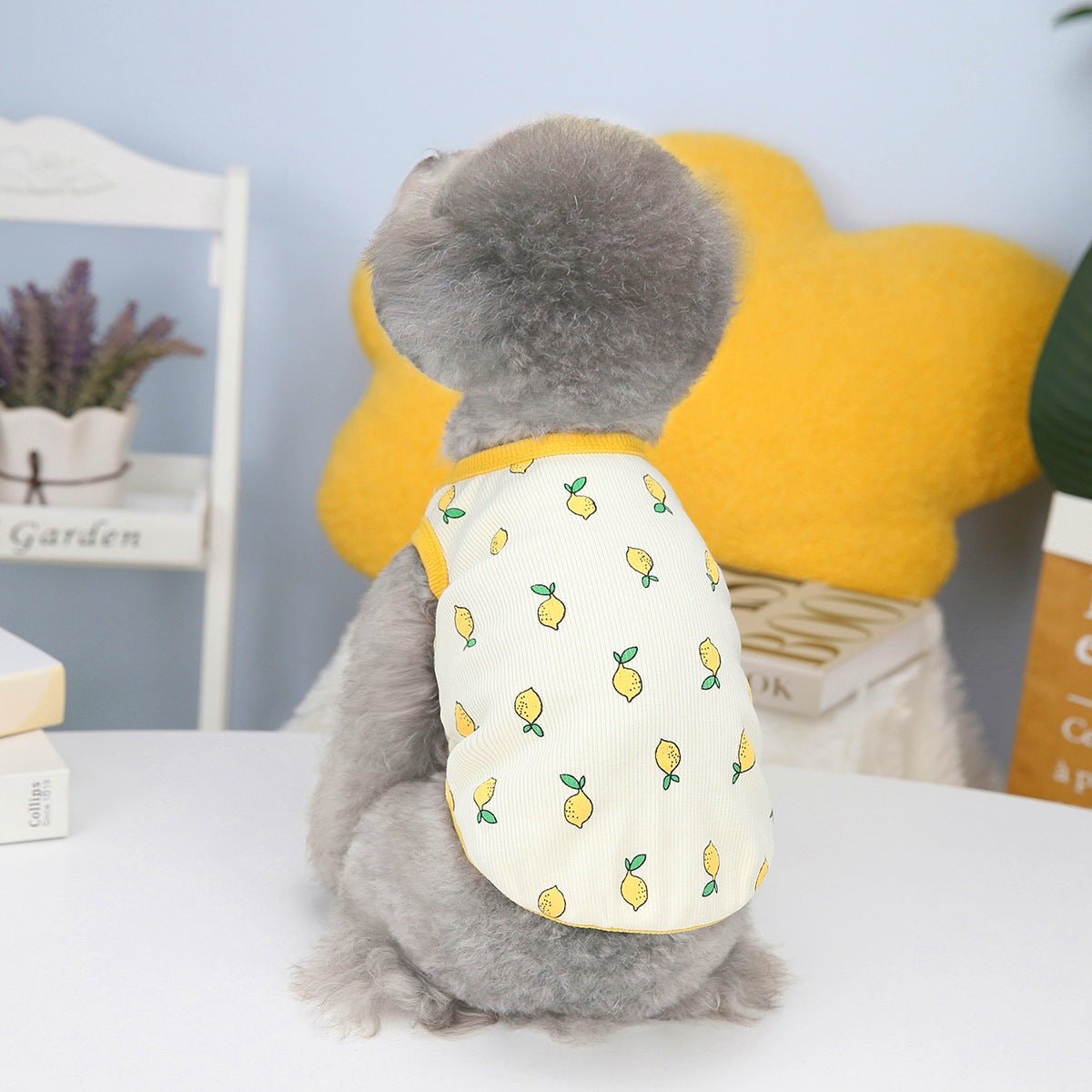 Pet Clothes Spring And Summer Puppy Lemon Vest | Luxury Home Accessories | Heulog Glow