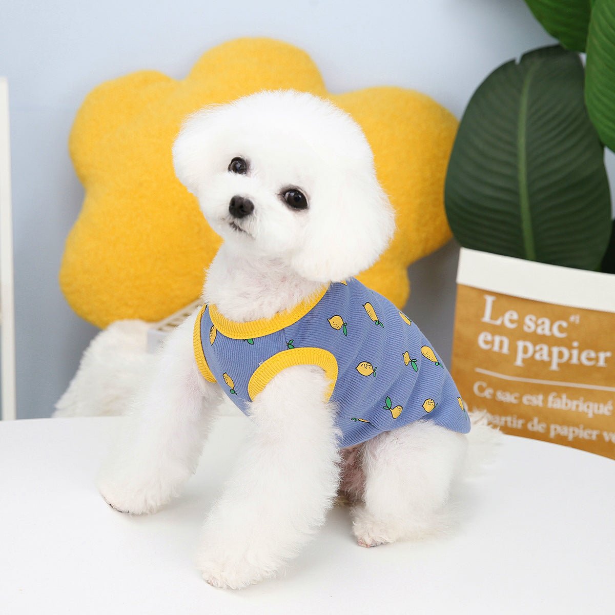 Pet Clothes Spring And Summer Puppy Lemon Vest | Luxury Home Accessories | Heulog Glow