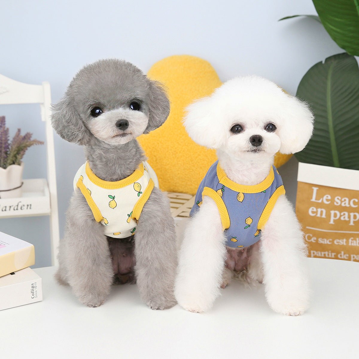 Pet Clothes Spring And Summer Puppy Lemon Vest | Luxury Home Accessories | Heulog Glow