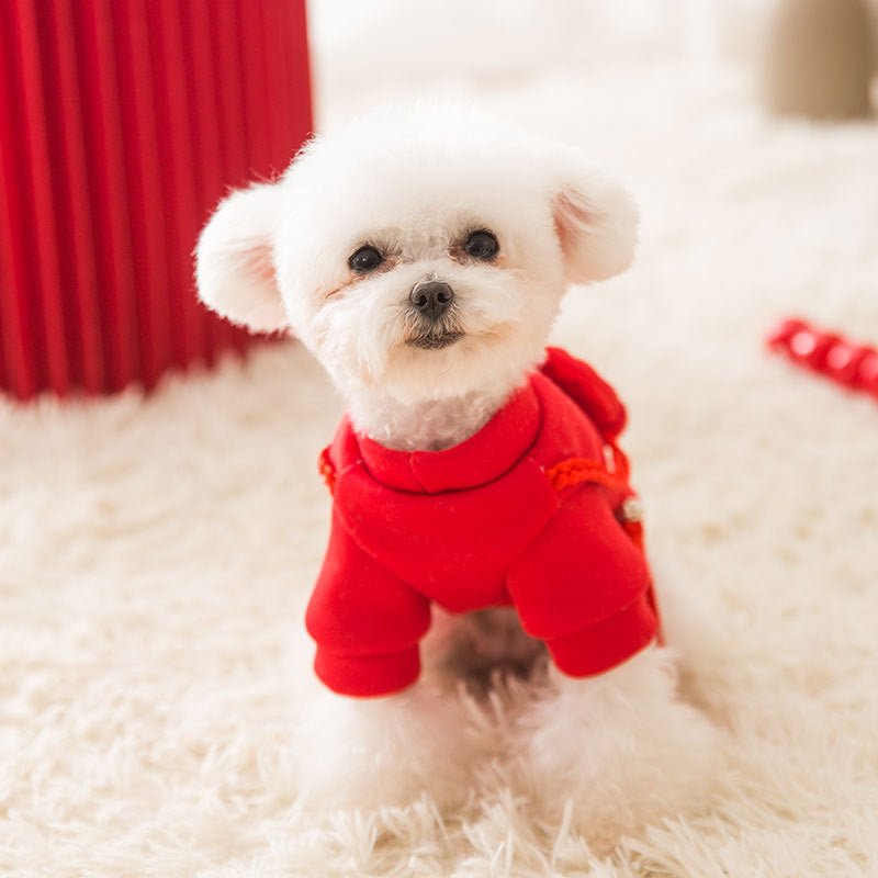 Pet Clothes Spring Lion Dance Hoodie Dog | Luxury Home Accessories | Heulog Glow