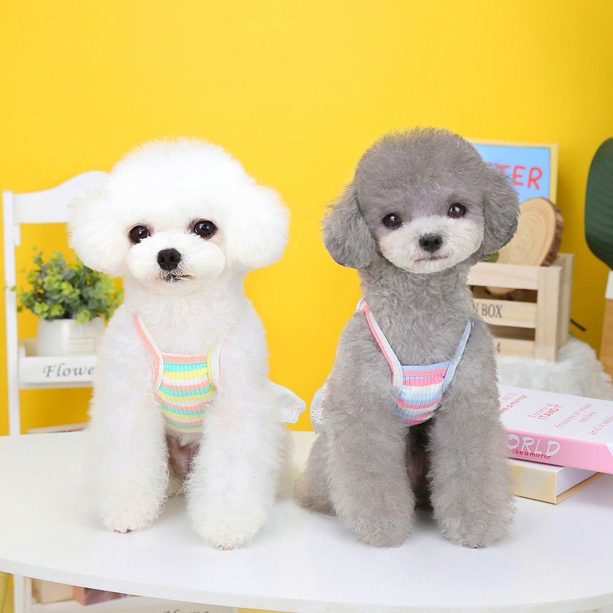 Pet Clothing Dog Color Stripes Wings Skirt | Luxury Home Accessories | Heulog Glow