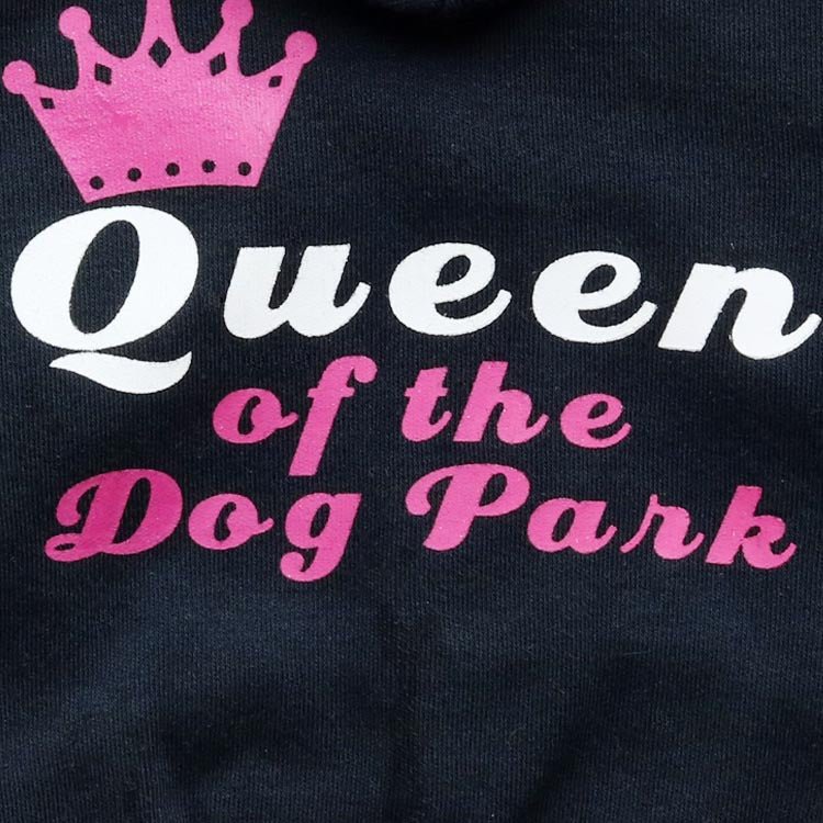 Pet Clothing Small Dog Cotton Wool Hooded Pet T-Shirt | Luxury Home Accessories | Heulog Glow