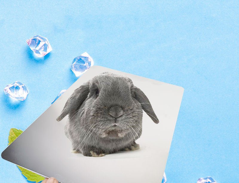 Pet Cooling Plate Aluminum Plate Rabbit Cooling Plate Guinea | Luxury Home Accessories | Heulog Glow