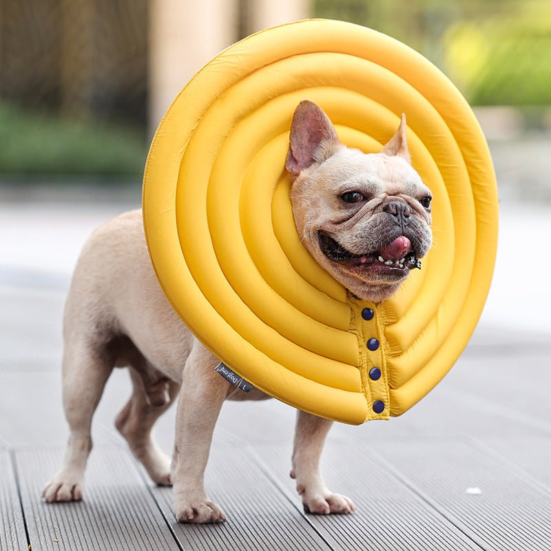 Pet Creative Summer Swimming Anti-licking And Biting Protection Ring | Luxury Home Accessories | Heulog Glow