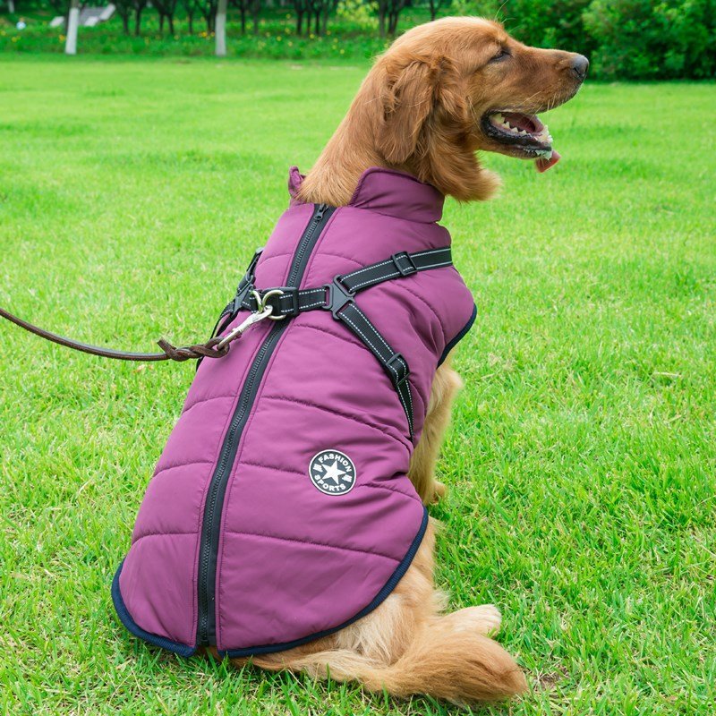 Pet Dog Clothes For Small Dogs Winter Warm Dog Hooded Coat Jackets Chihuahua Pug Outfits Puppy Cat Clothing | Luxury Home Accessories | Heulog Glow
