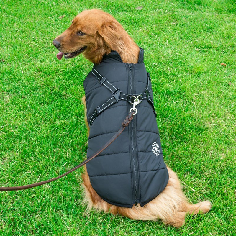 Pet Dog Clothes For Small Dogs Winter Warm Dog Hooded Coat Jackets Chihuahua Pug Outfits Puppy Cat Clothing | Luxury Home Accessories | Heulog Glow