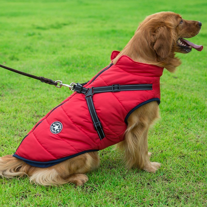 Pet Dog Clothes For Small Dogs Winter Warm Dog Hooded Coat Jackets Chihuahua Pug Outfits Puppy Cat Clothing | Luxury Home Accessories | Heulog Glow