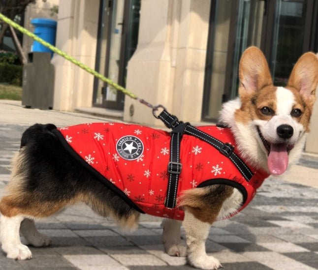 Pet Dog Clothes For Small Dogs Winter Warm Dog Hooded Coat Jackets Chihuahua Pug Outfits Puppy Cat Clothing | Luxury Home Accessories | Heulog Glow