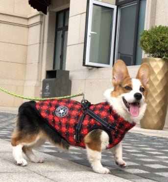 Pet Dog Clothes For Small Dogs Winter Warm Dog Hooded Coat Jackets Chihuahua Pug Outfits Puppy Cat Clothing | Luxury Home Accessories | Heulog Glow