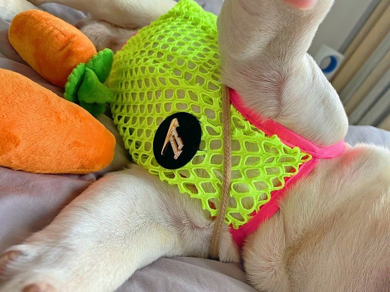 Pet Dog Clothes Summer Thin Breathable Sun Protection Vest | Luxury Home Accessories | Heulog Glow