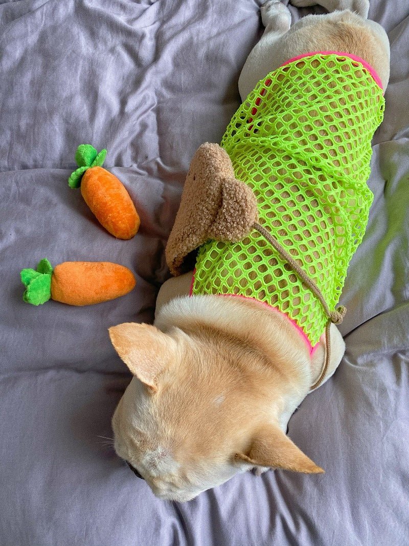Pet Dog Clothes Summer Thin Breathable Sun Protection Vest | Luxury Home Accessories | Heulog Glow