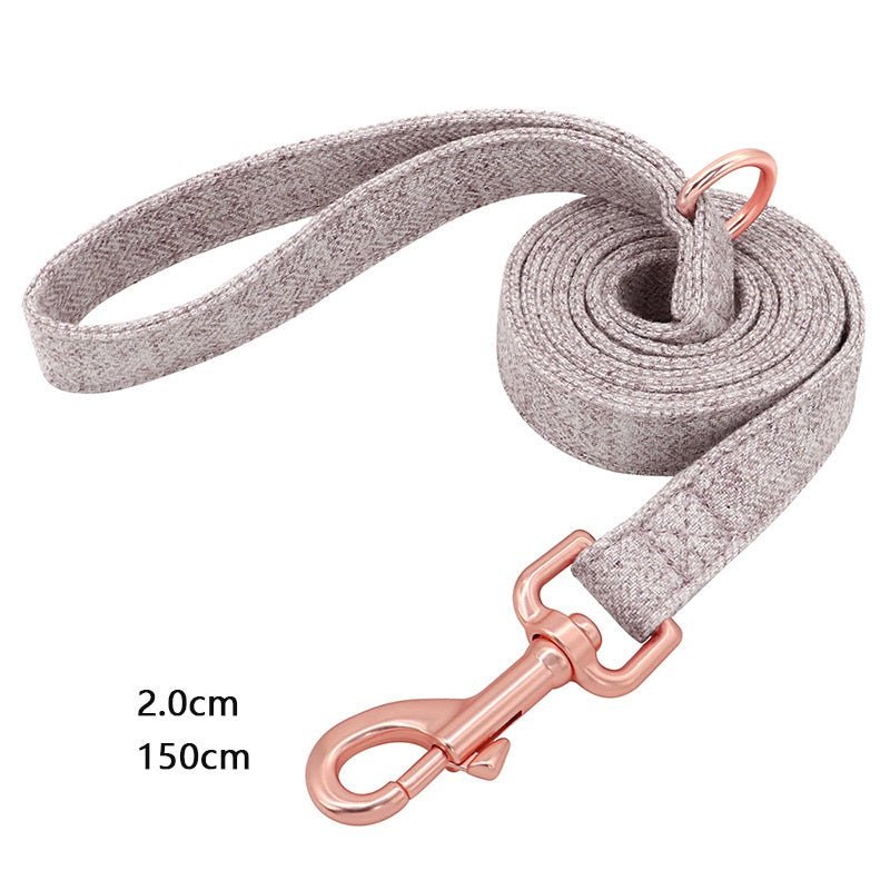 Pet Dog Collar Engraving Anti-Lost Traction Rope Supplies | Luxury Home Accessories | Heulog Glow
