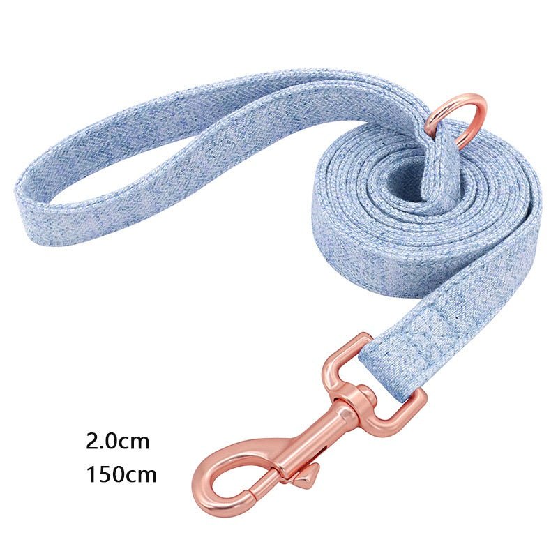 Pet Dog Collar Engraving Anti-Lost Traction Rope Supplies | Luxury Home Accessories | Heulog Glow