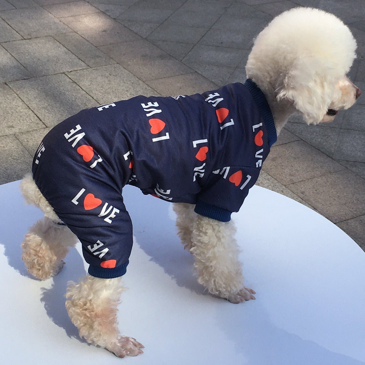 Pet Dog Four-legged Clothing | Luxury Home Accessories | Heulog Glow