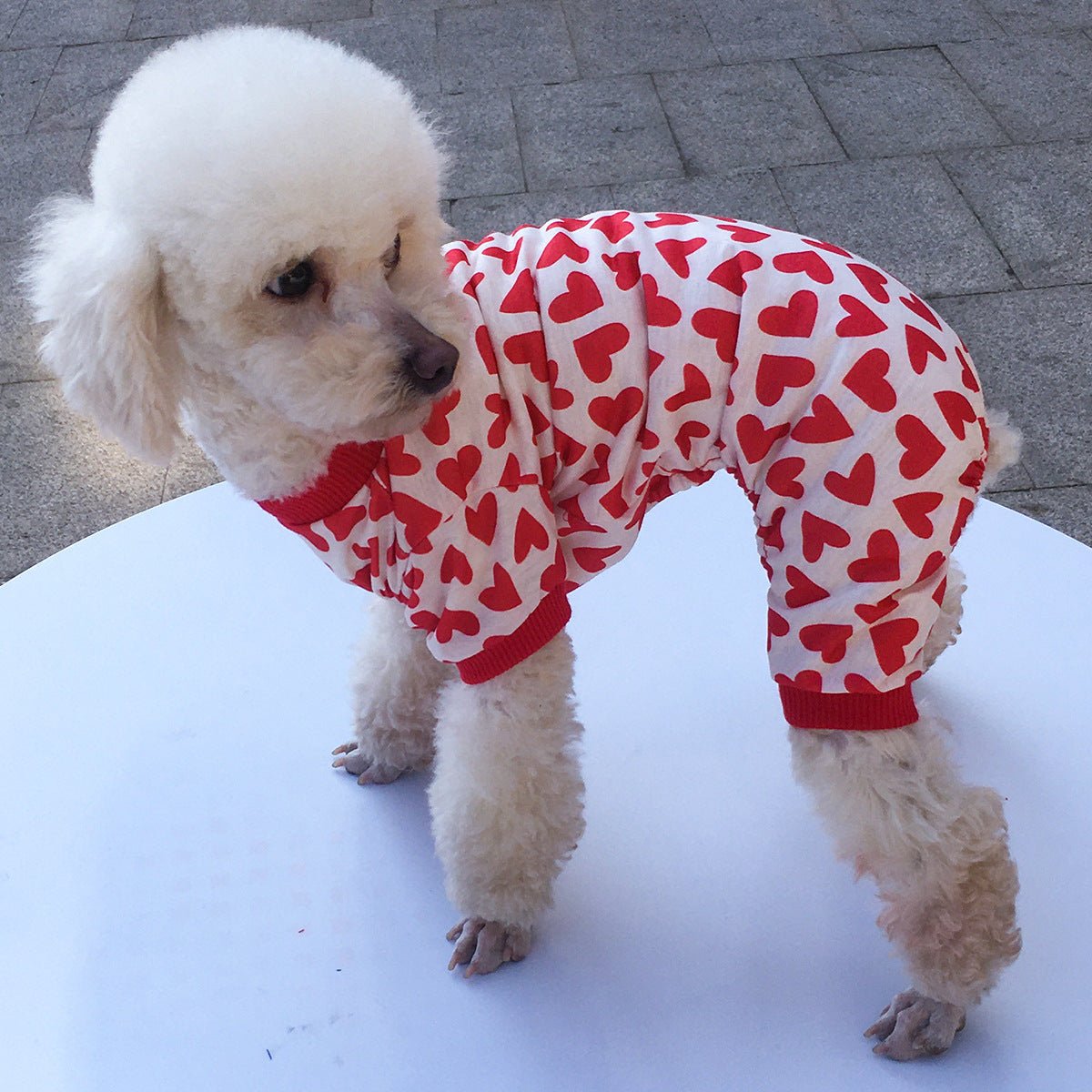 Pet Dog Four-legged Clothing | Luxury Home Accessories | Heulog Glow