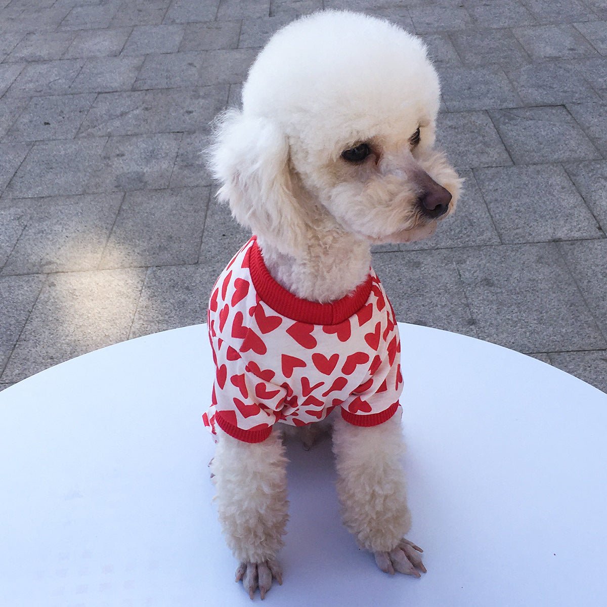 Pet Dog Four-legged Clothing | Luxury Home Accessories | Heulog Glow