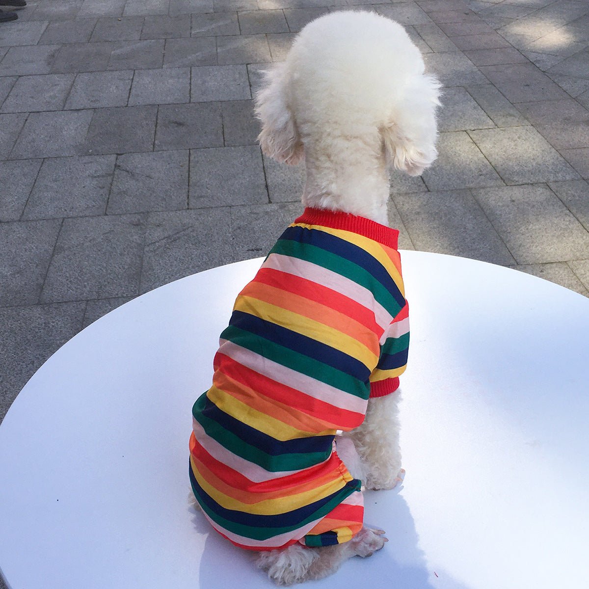 Pet Dog Four-legged Clothing | Luxury Home Accessories | Heulog Glow