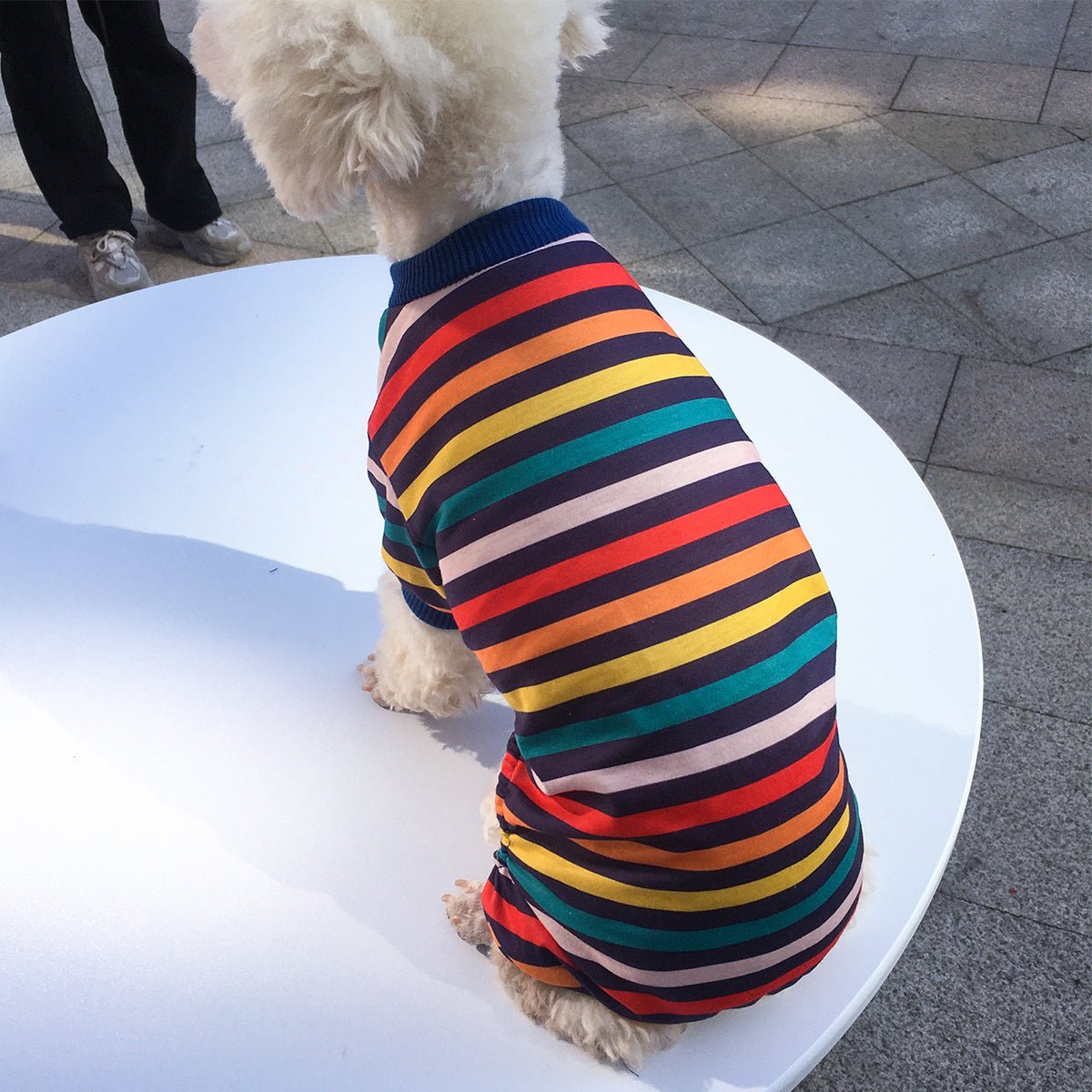 Pet Dog Four-legged Clothing | Luxury Home Accessories | Heulog Glow