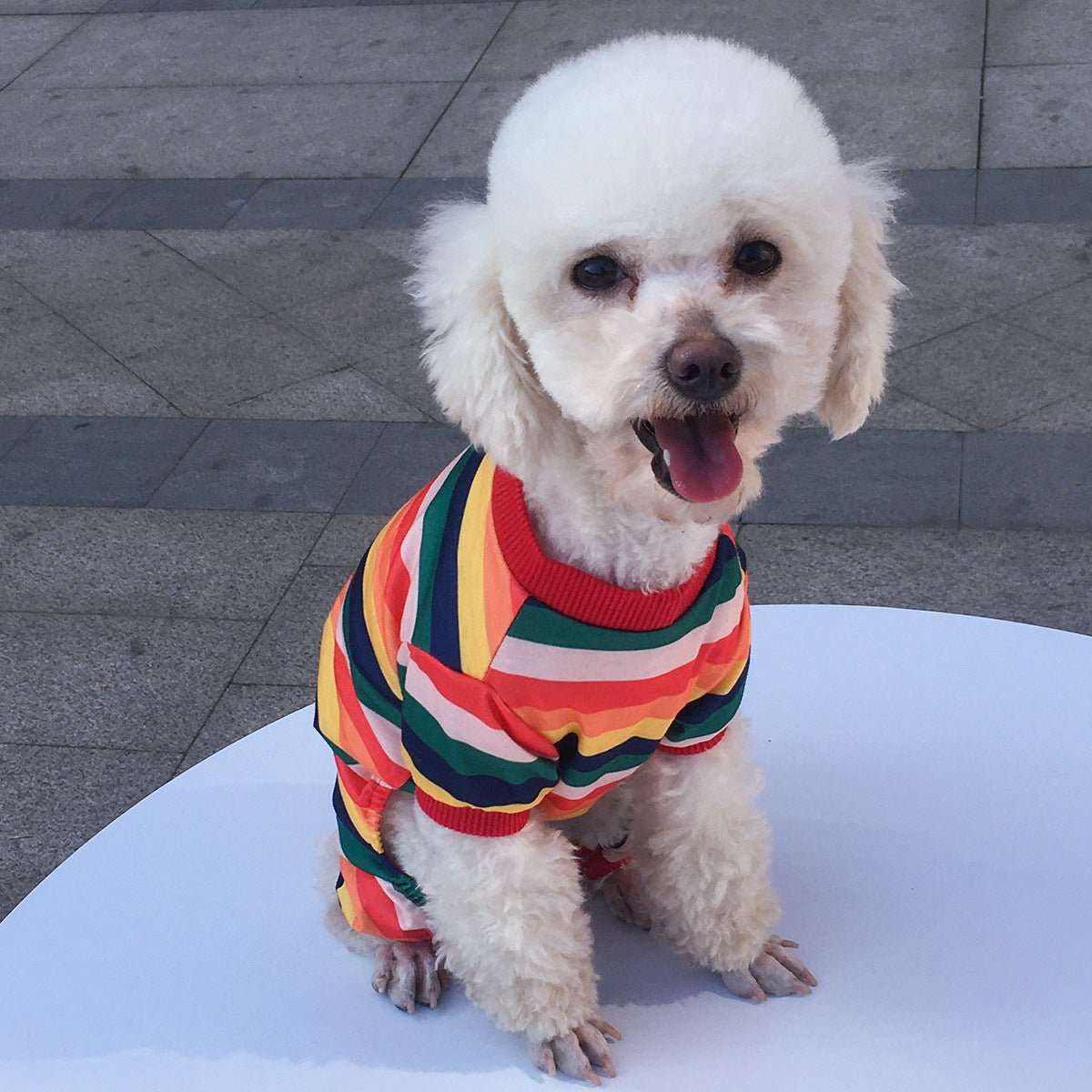 Pet Dog Four-legged Clothing | Luxury Home Accessories | Heulog Glow