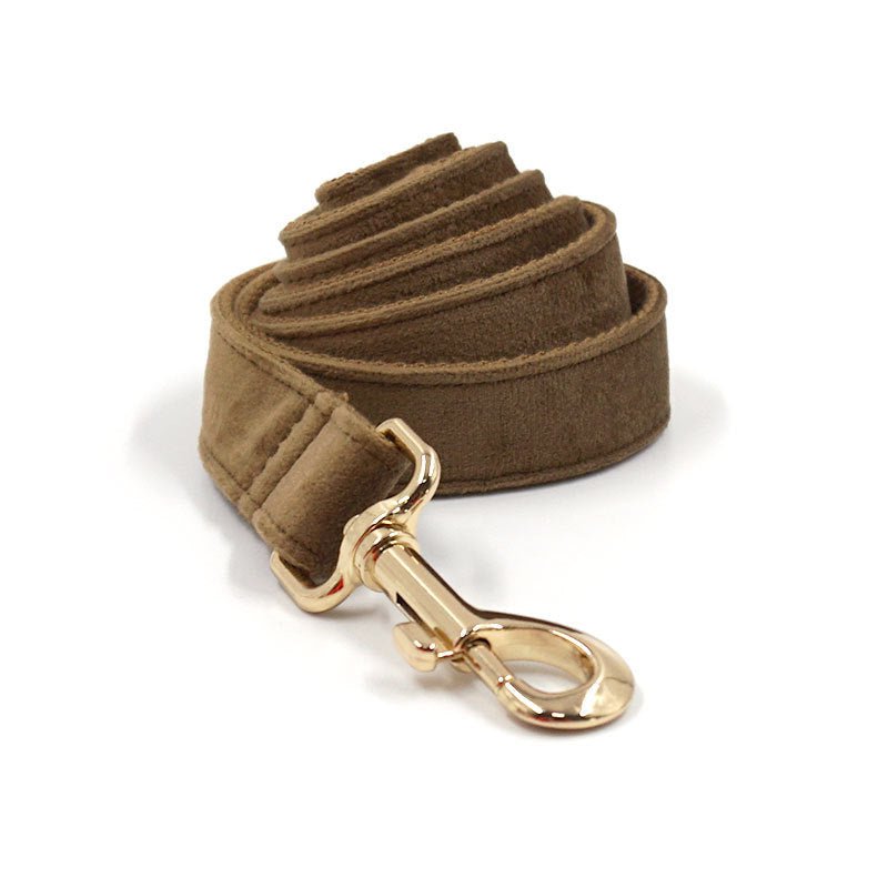 Pet Dog Lettering Collar Walking Velvet Hand Holding Rope | Luxury Home Accessories | Heulog Glow