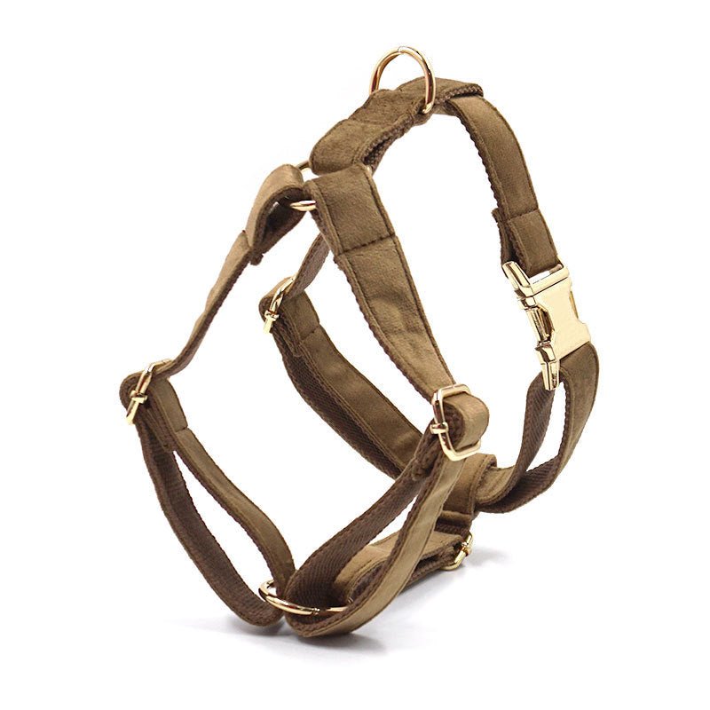 Pet Dog Lettering Collar Walking Velvet Hand Holding Rope | Luxury Home Accessories | Heulog Glow