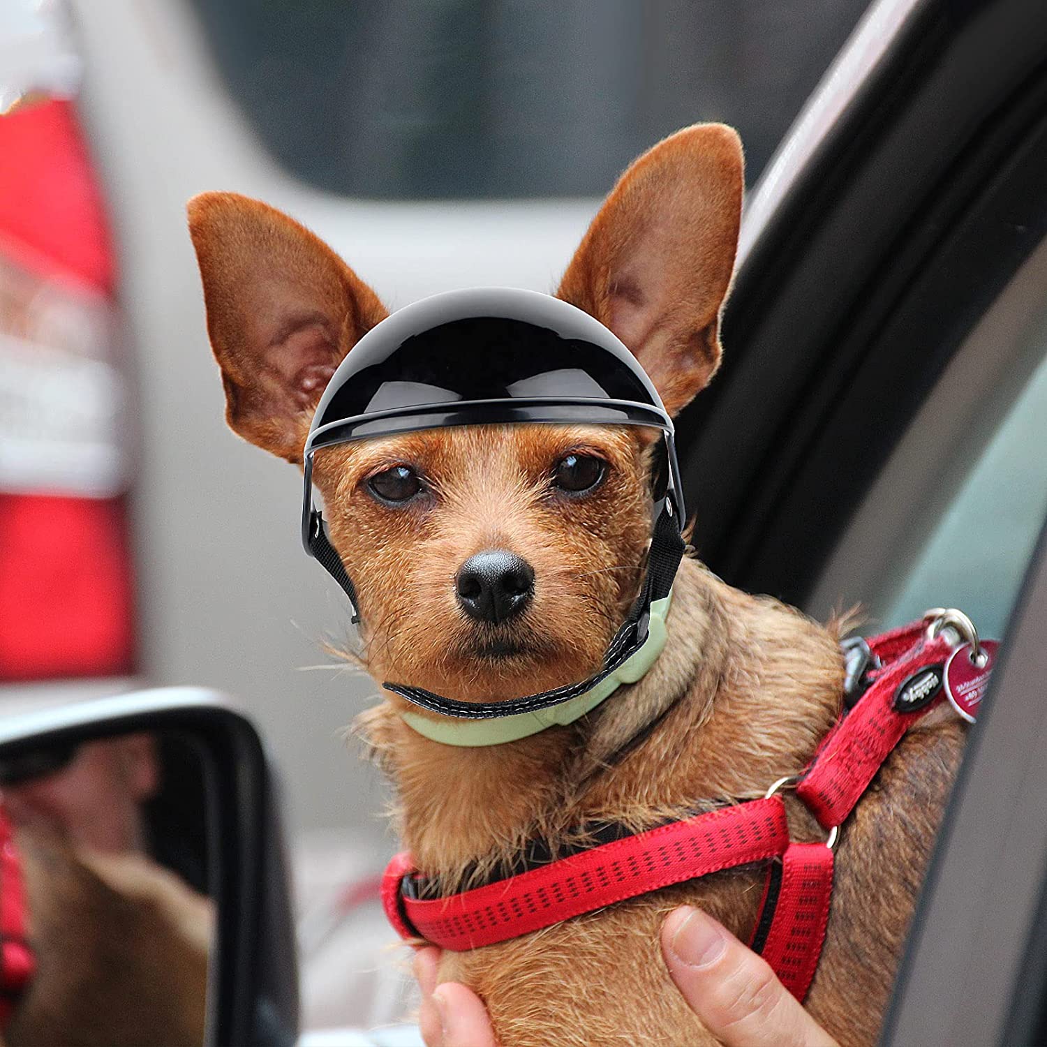 Pet Dog Motorcycle Out Decoration Helmet | Luxury Home Accessories | Heulog Glow
