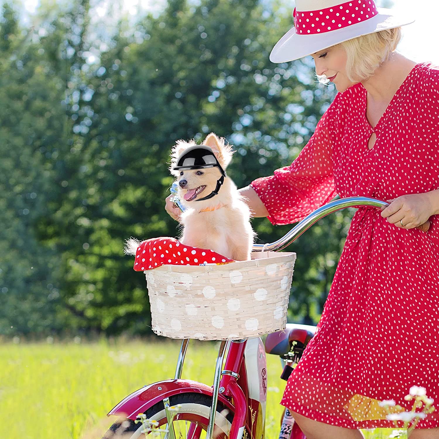 Pet Dog Motorcycle Out Decoration Helmet | Luxury Home Accessories | Heulog Glow